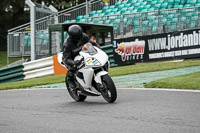 Middle Group White Bikes